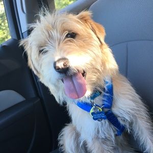 Meet your Posher, Sidney